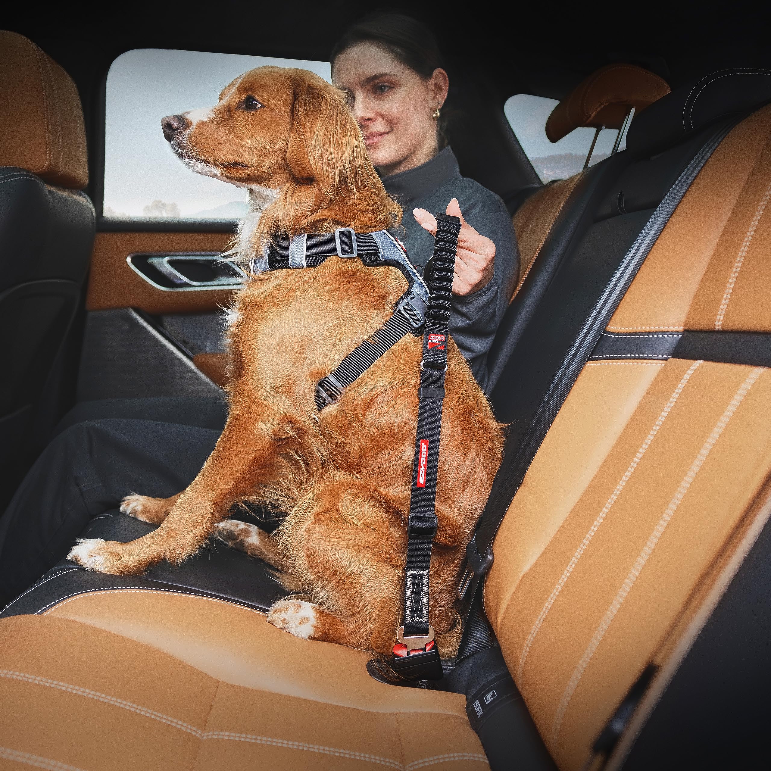 EzyDog Zero Shock Click boucle acier electroplatee, durabilite fiable