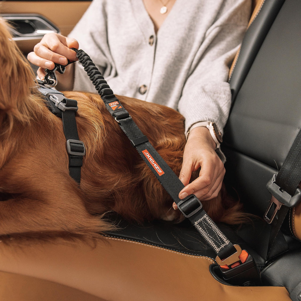 EzyDog Zero Shock Click compatibilite harnais EzyDog a ajustement rapide