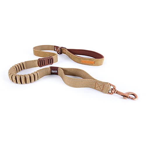 Laisse EzyDog Zero Shock anti-choc pour chiens actifs.