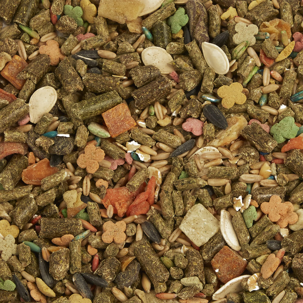 Régime quotidien enrichi en vitamines Tropical Carnival pour lapin actif.