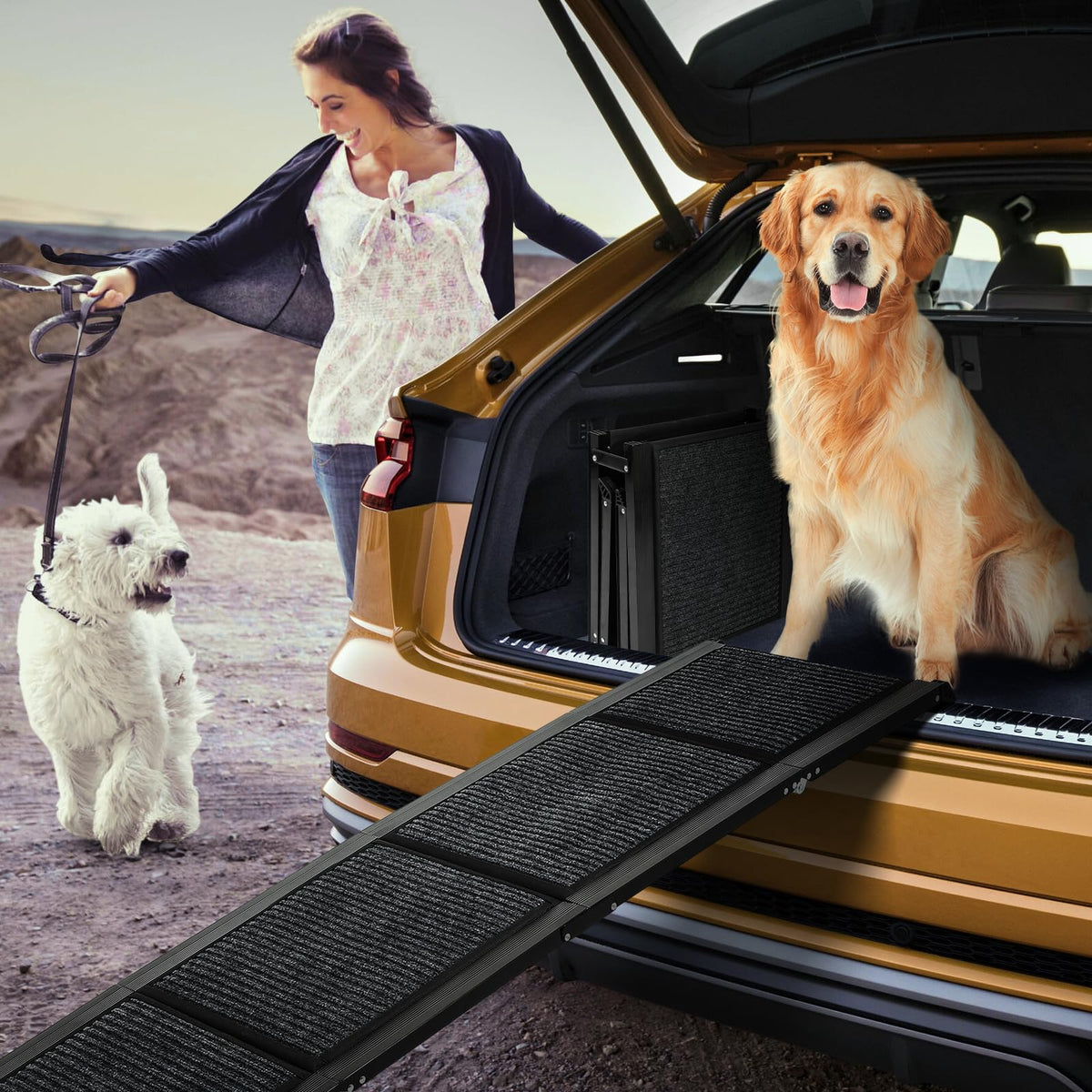 FAHKNS rampe pour chien 63x17 cm avec surface antidérapante pour trajet en voiture
