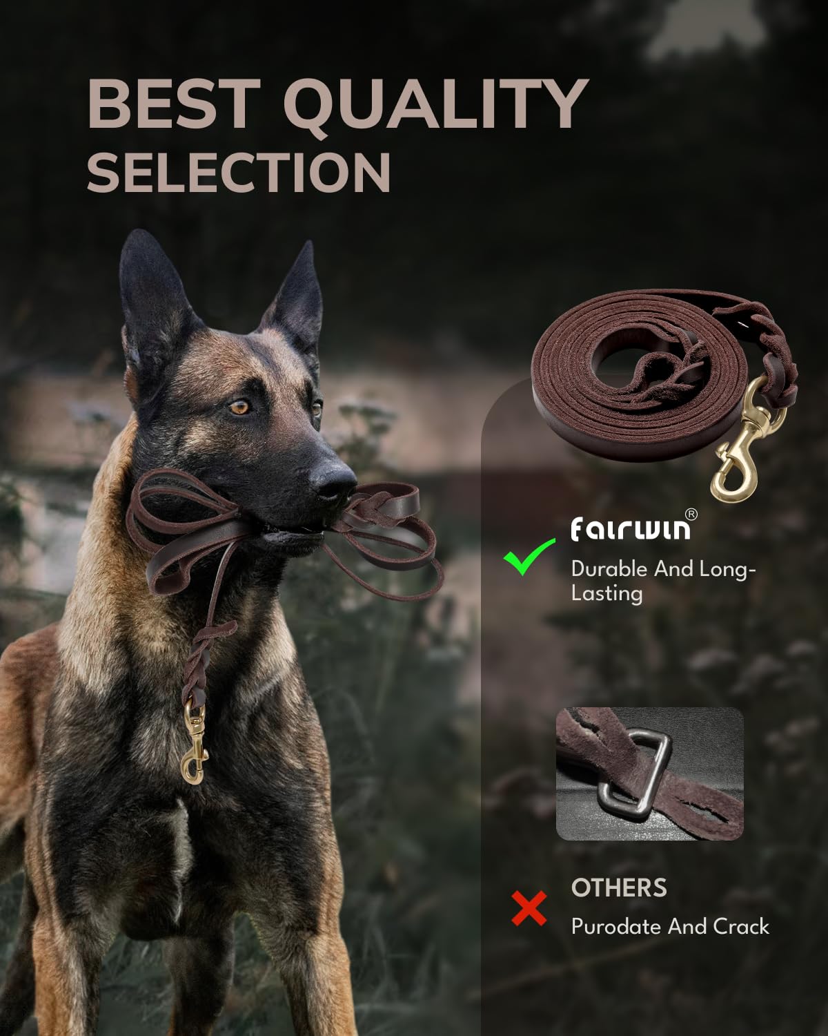 Fairwin emballage coffret, cadeau élégant pour propriétaires de chiens.