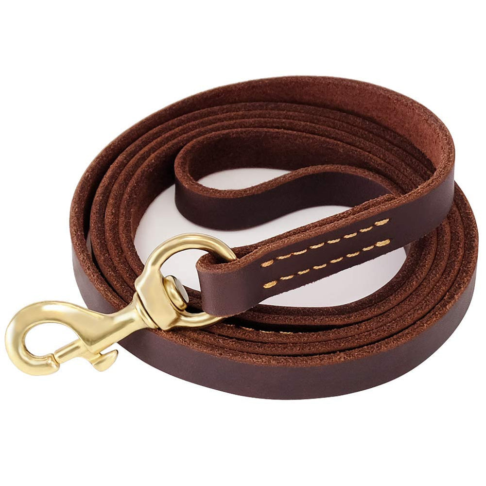 Laisse FAIRWIN en cuir pour chien, 6 pieds, robuste et confortable.