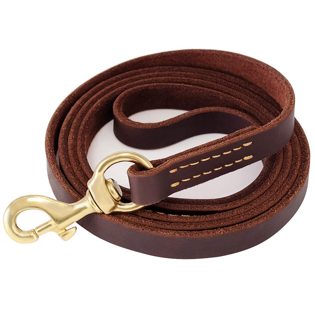 Laisse FAIRWIN en cuir pour chien, 6 pieds, robuste et confortable.