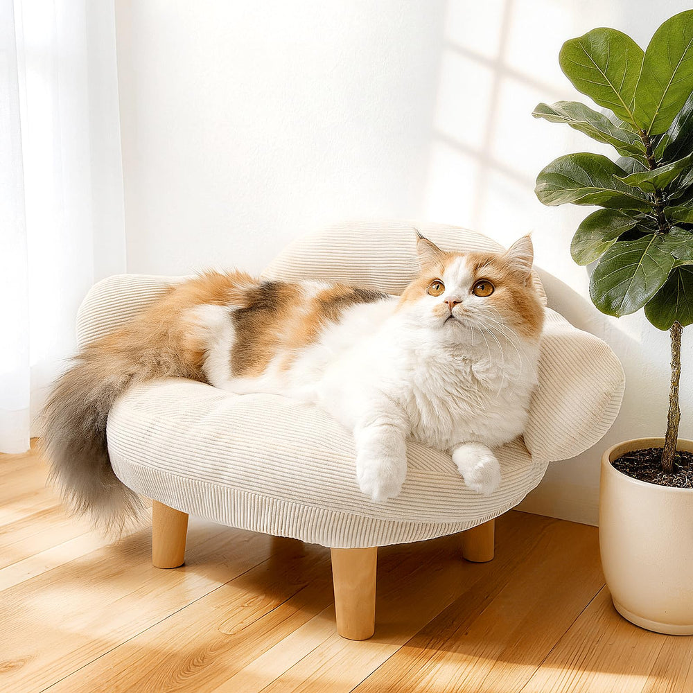 Famifit canape-chat-style-meuble, vue d’ensemble avec design élégant.
