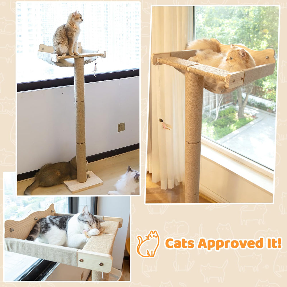 Famifit capacité 45 lb: adapté à plusieurs chats ou à un chat énergique