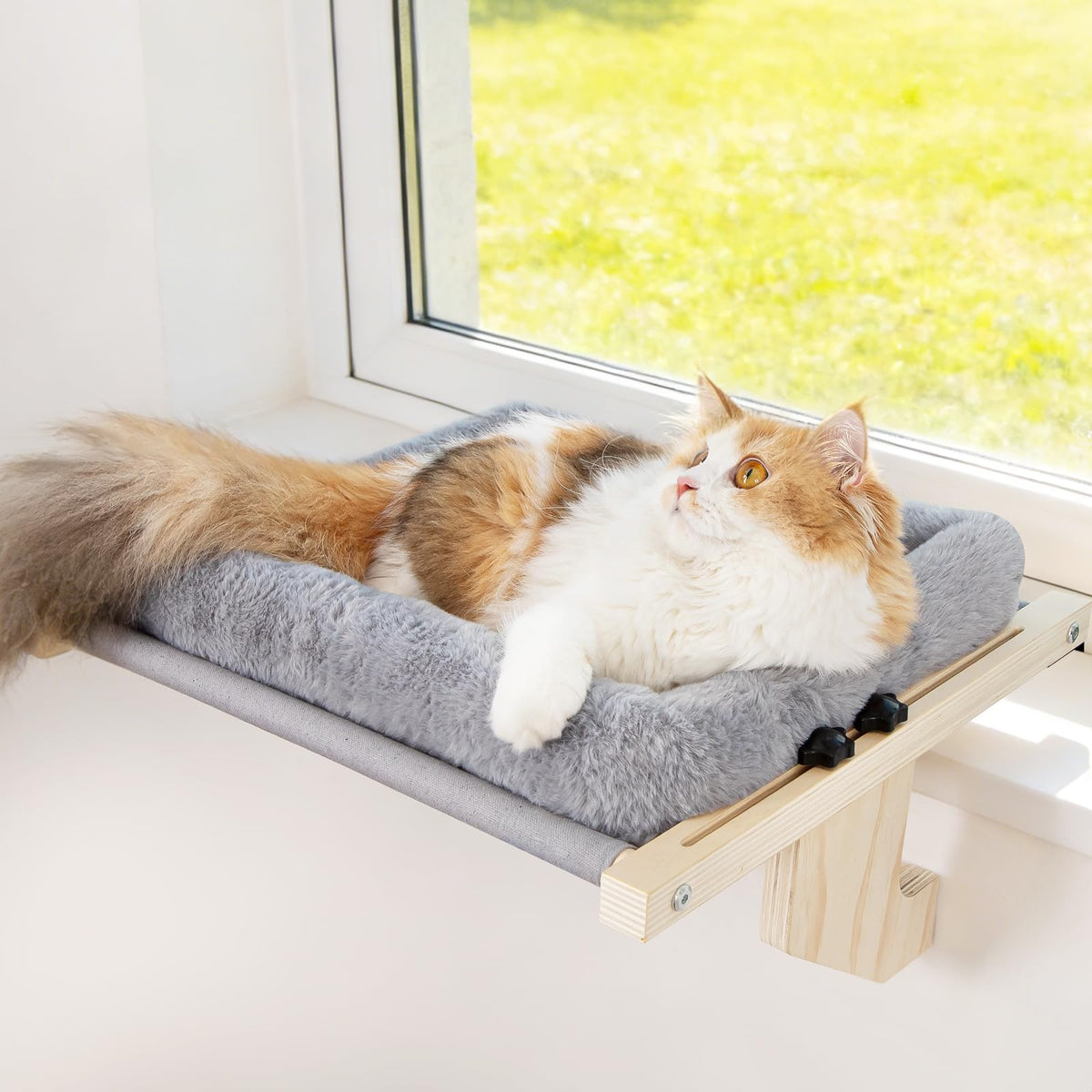 Famifit perchoir fenetre-rebord-pin-naturel, cadre robuste pour siestes confortables.