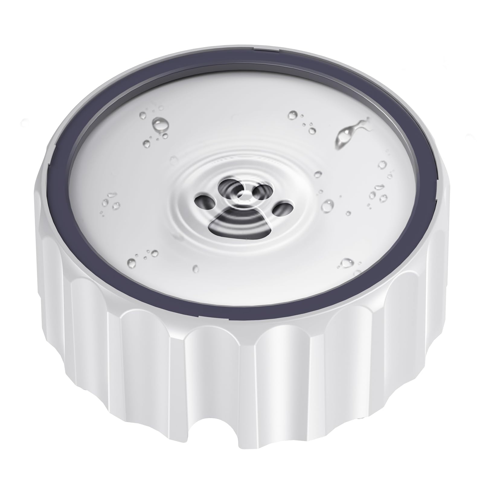 Famigreta gamelle eau anti-deversement pour hydratation sans fuite a domicile.