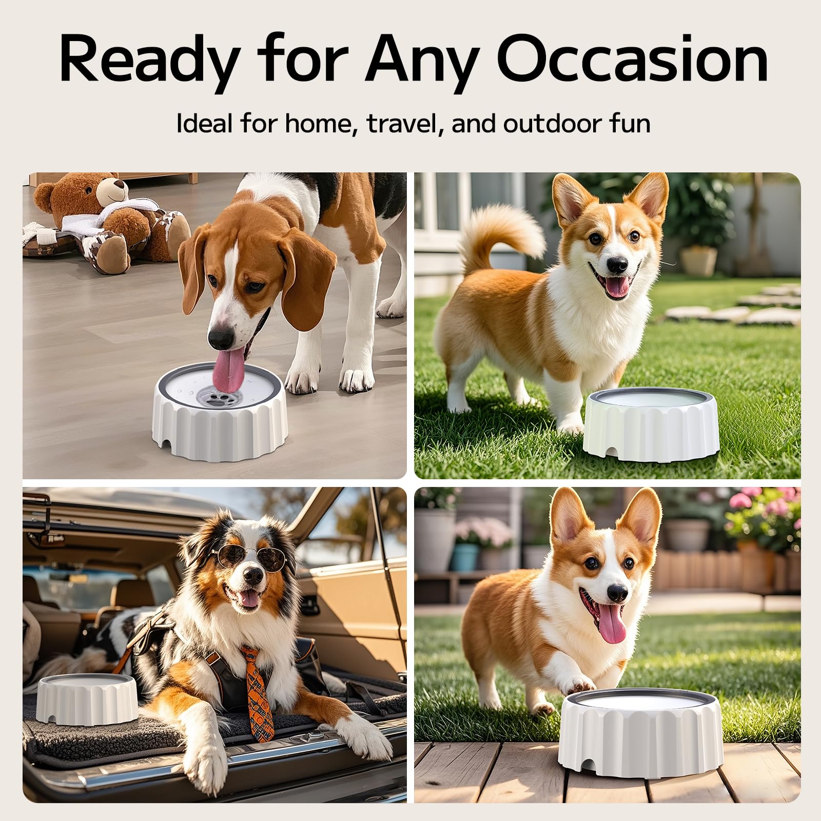 Famigreta gamelle eau sans-eclaboussures pour chien actif et voyage.