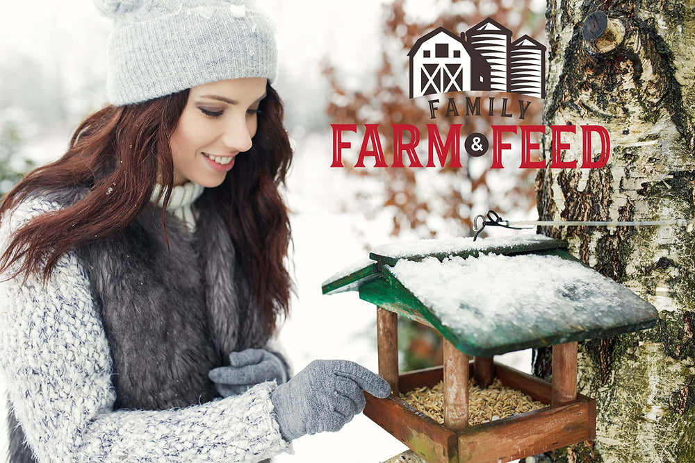FAMILY FARM AND FEED Graines tournesol noir – source d'énergie naturelle pour tous les oiseaux.