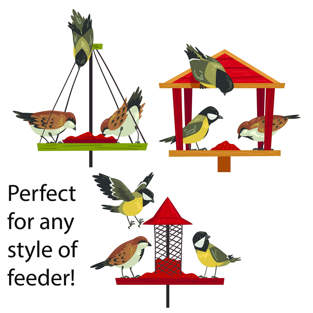 FAMILY FARM AND FEED Oiseaux sur mangeoire – attira les oiseaux sauvages dans le jardin.