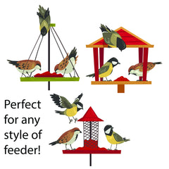 FAMILY FARM AND FEED Oiseaux sur mangeoire – attira les oiseaux sauvages dans le jardin.