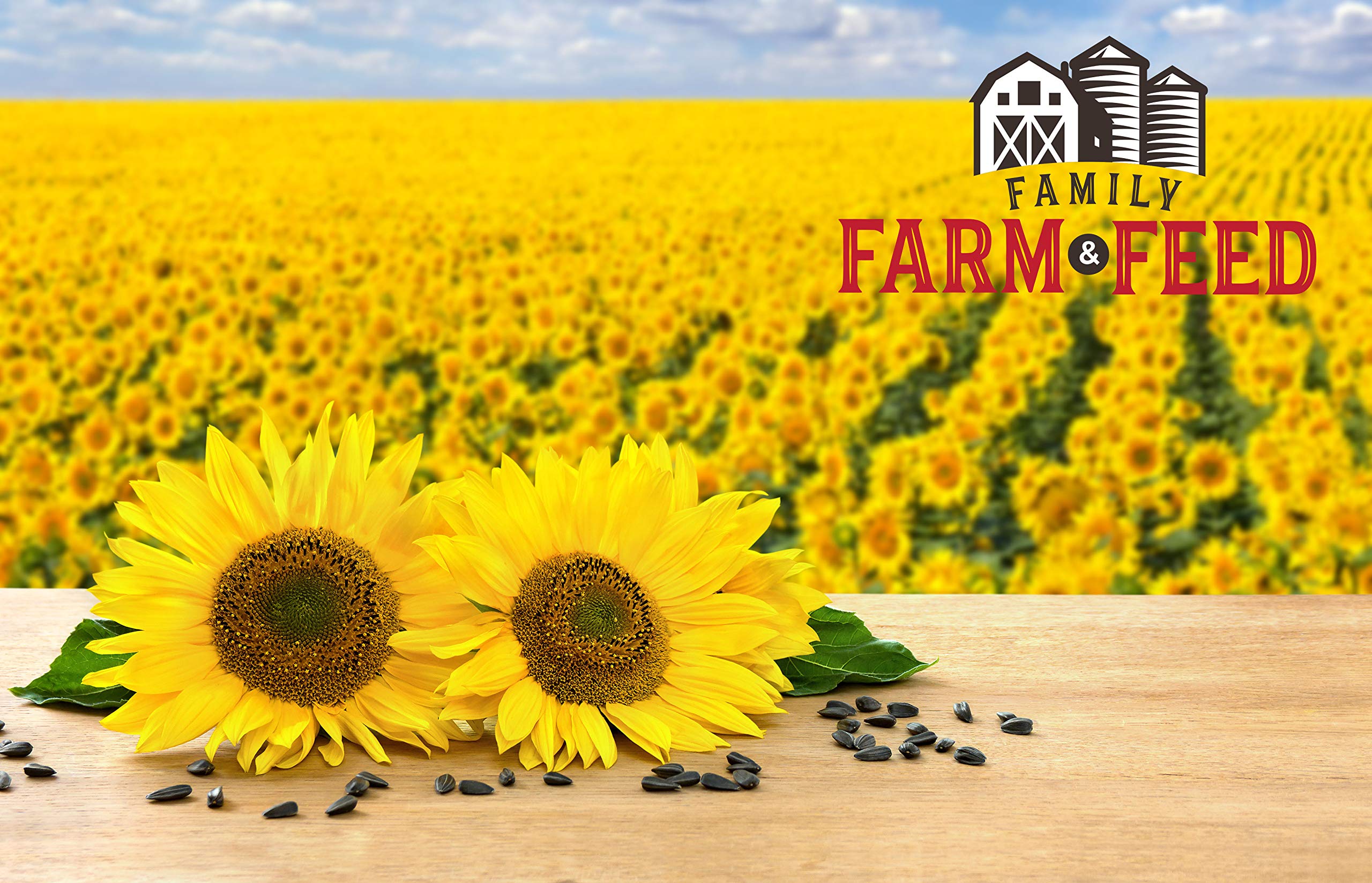 FAMILY FARM AND FEED Paquet Tournesol noir huile – emballage transparent pratique.