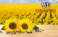 FAMILY FARM AND FEED Paquet Tournesol noir huile – emballage transparent pratique.