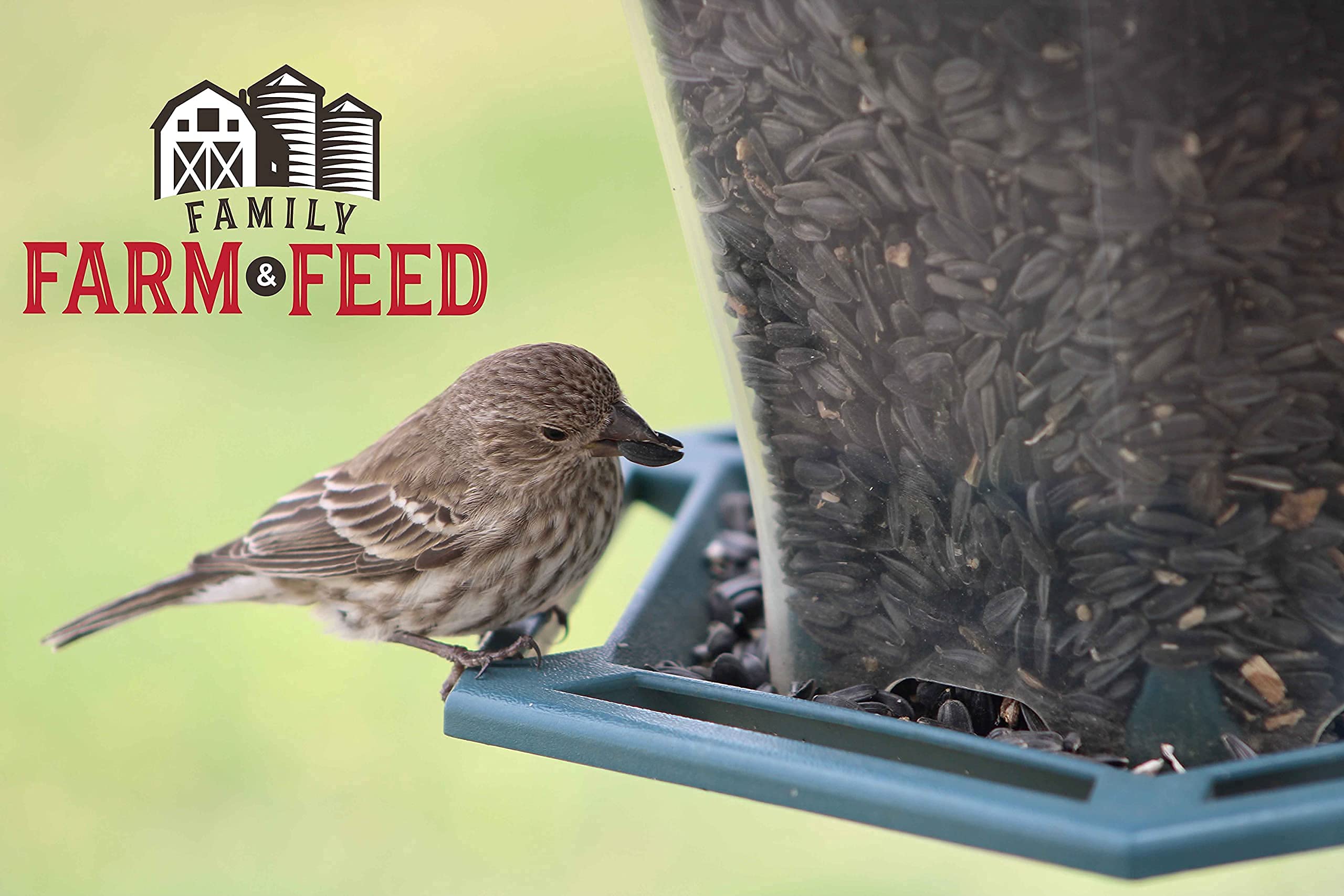 FAMILY FARM AND FEED Qualité premium – nourrir les oiseaux sauvages tout au long de l'année.