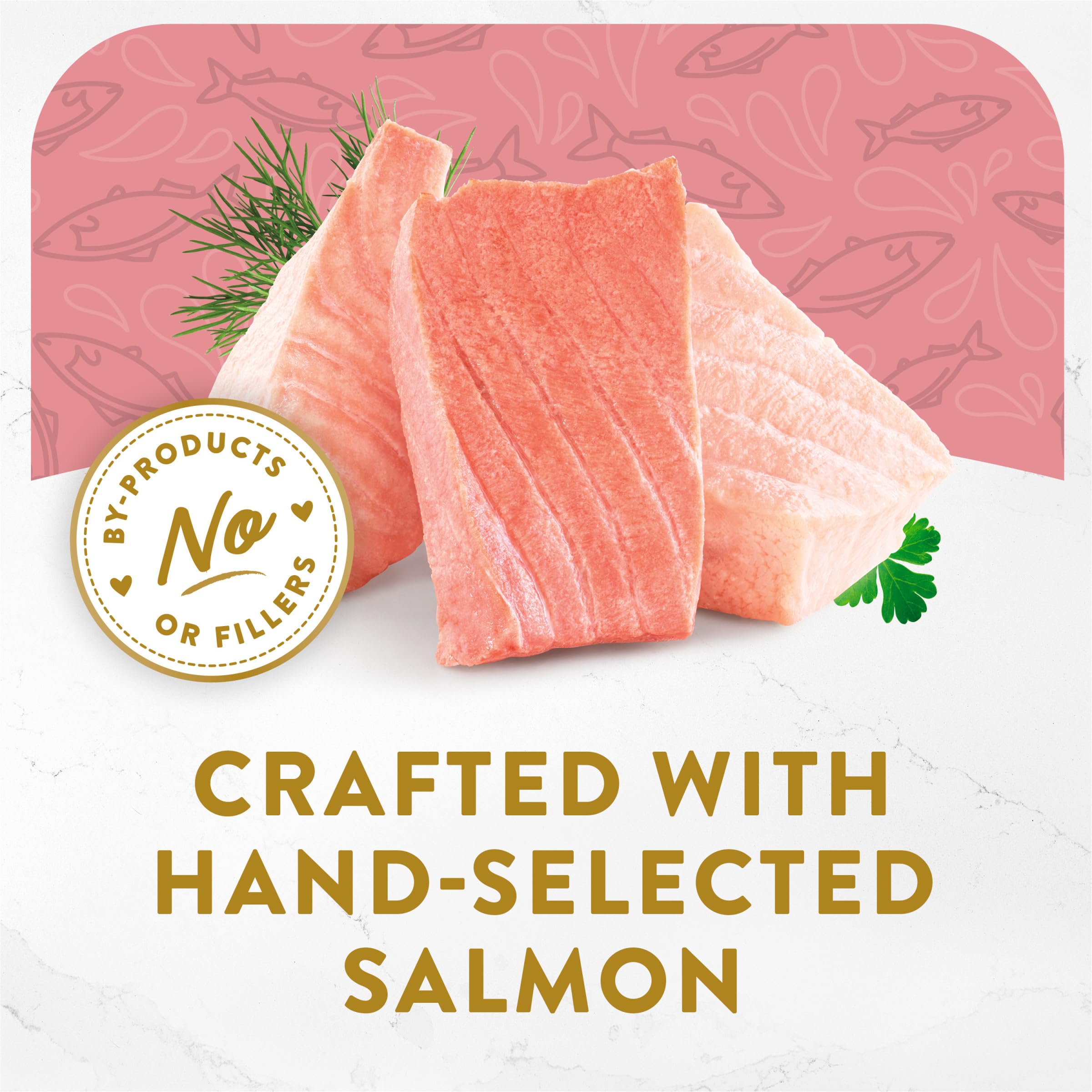 Fancy Feast Appetizers : bouillon délicat sublimant le saumon pour chats curieux.