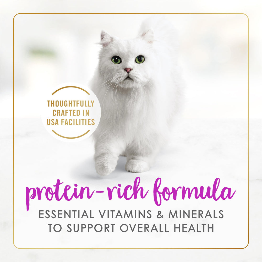 Fancy Feast Assiette Chat Pâté 3oz – repas pratique et savoureux.