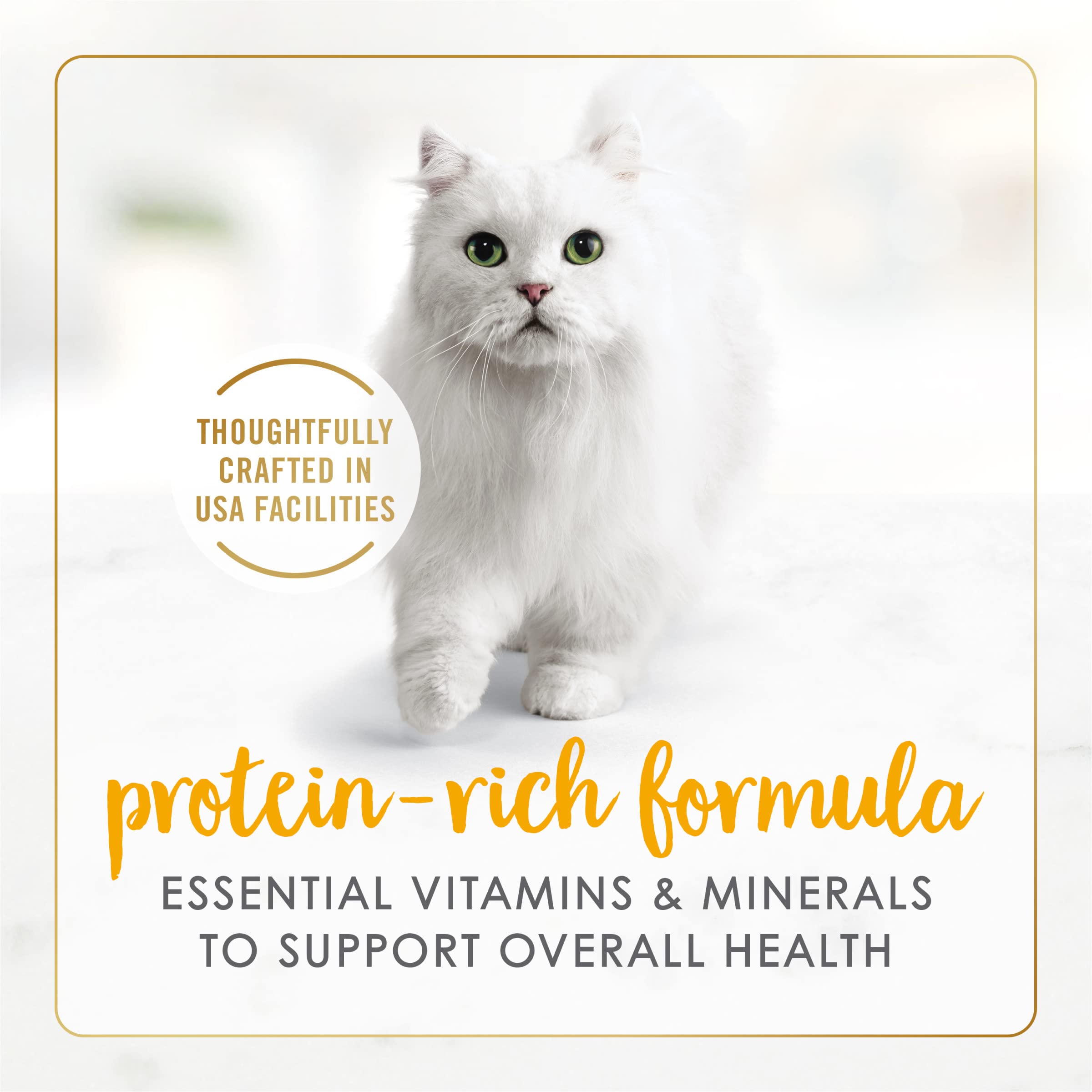 Fancy Feast assiette chat poulet et boeuf sauce savoureuse, repas quotidien pratique.