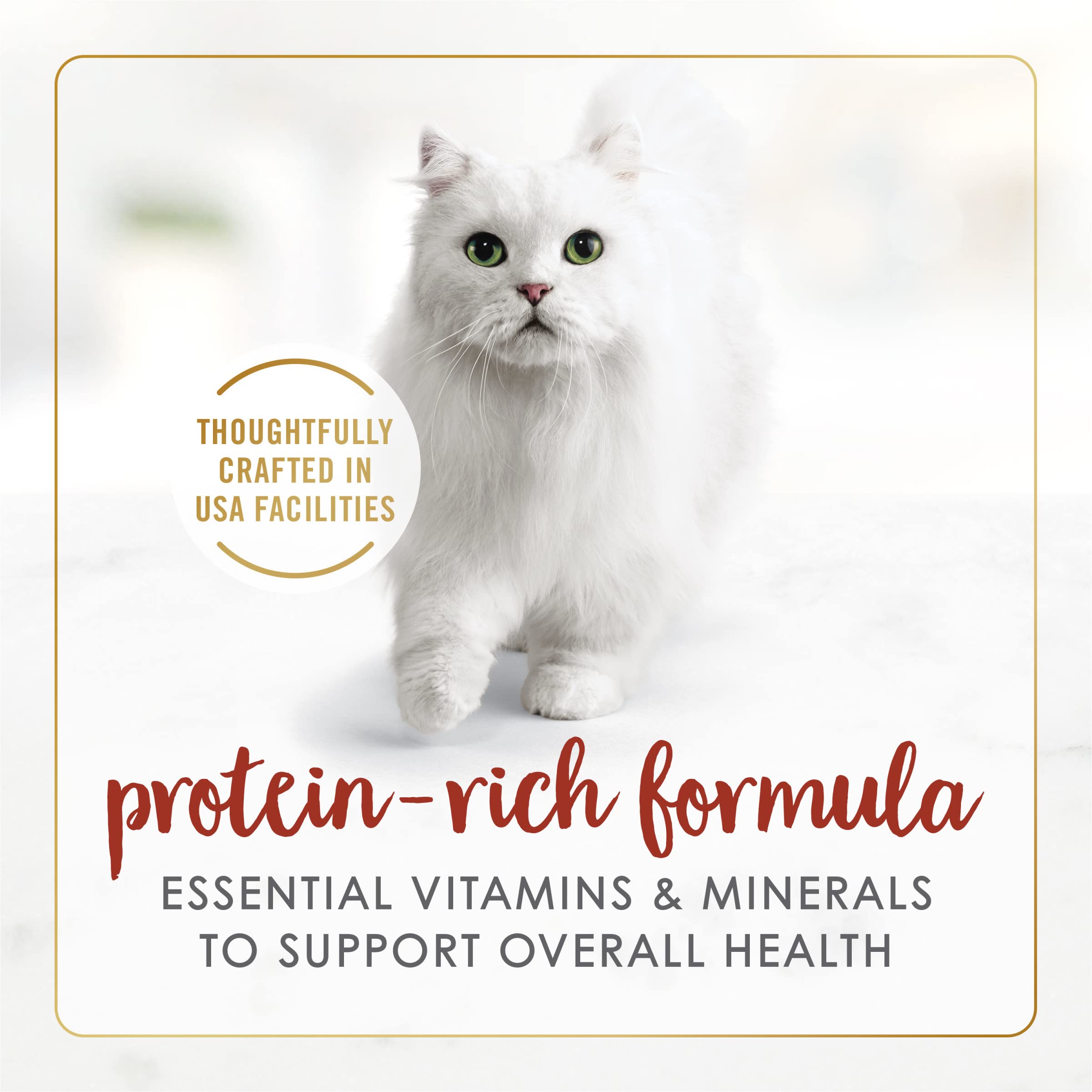 Fancy Feast boeuf et foie grillee dans sauce—saveur riche en protéines pour chats actifs.