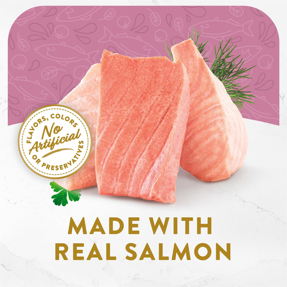 Bouillon Fancy Feast servi sur croquettes pour humidité et saveur.