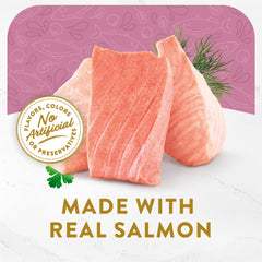 Bouillon Fancy Feast servi sur croquettes pour humidité et saveur.