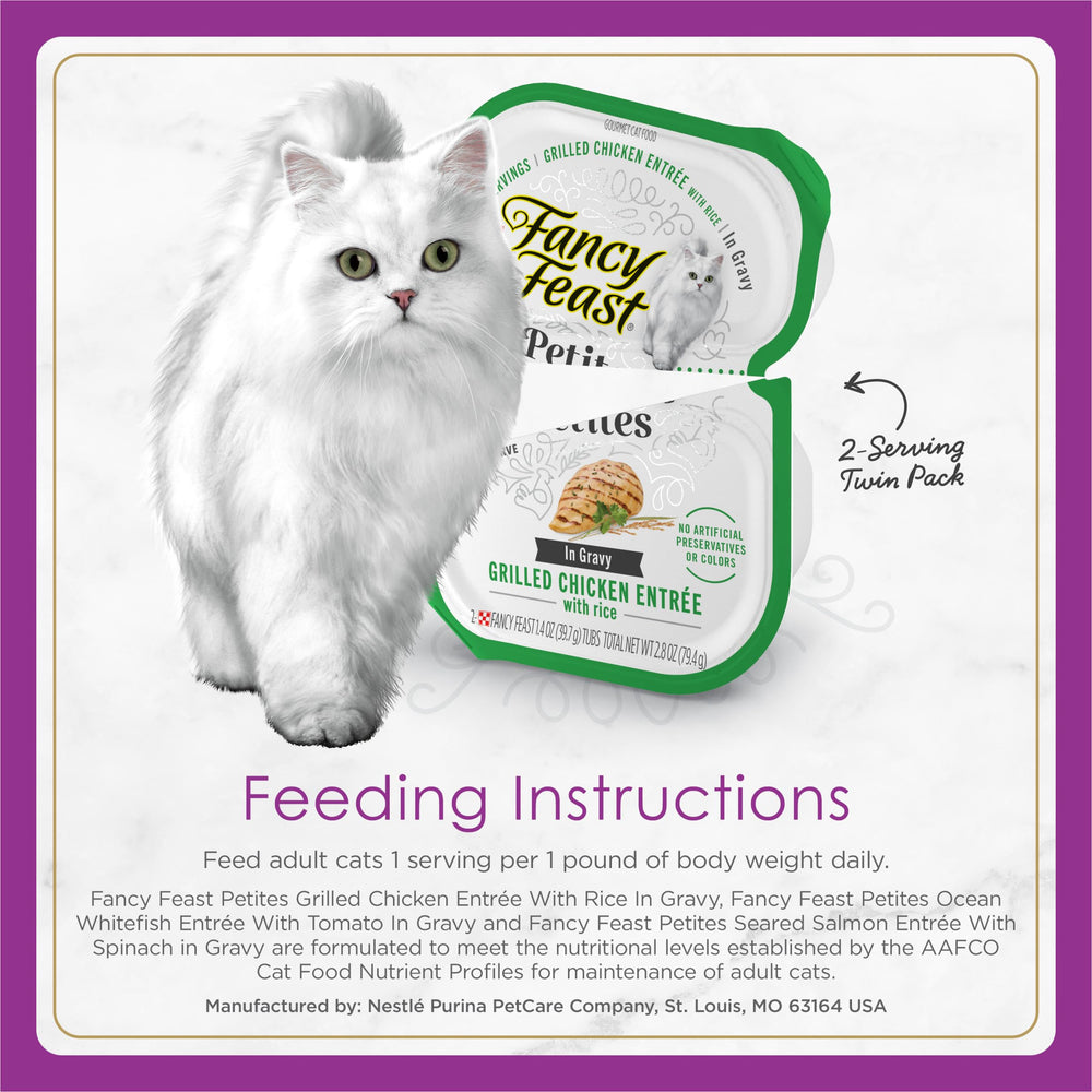 Chat dégustant Fancy Feast, pâté tendre et appétissant