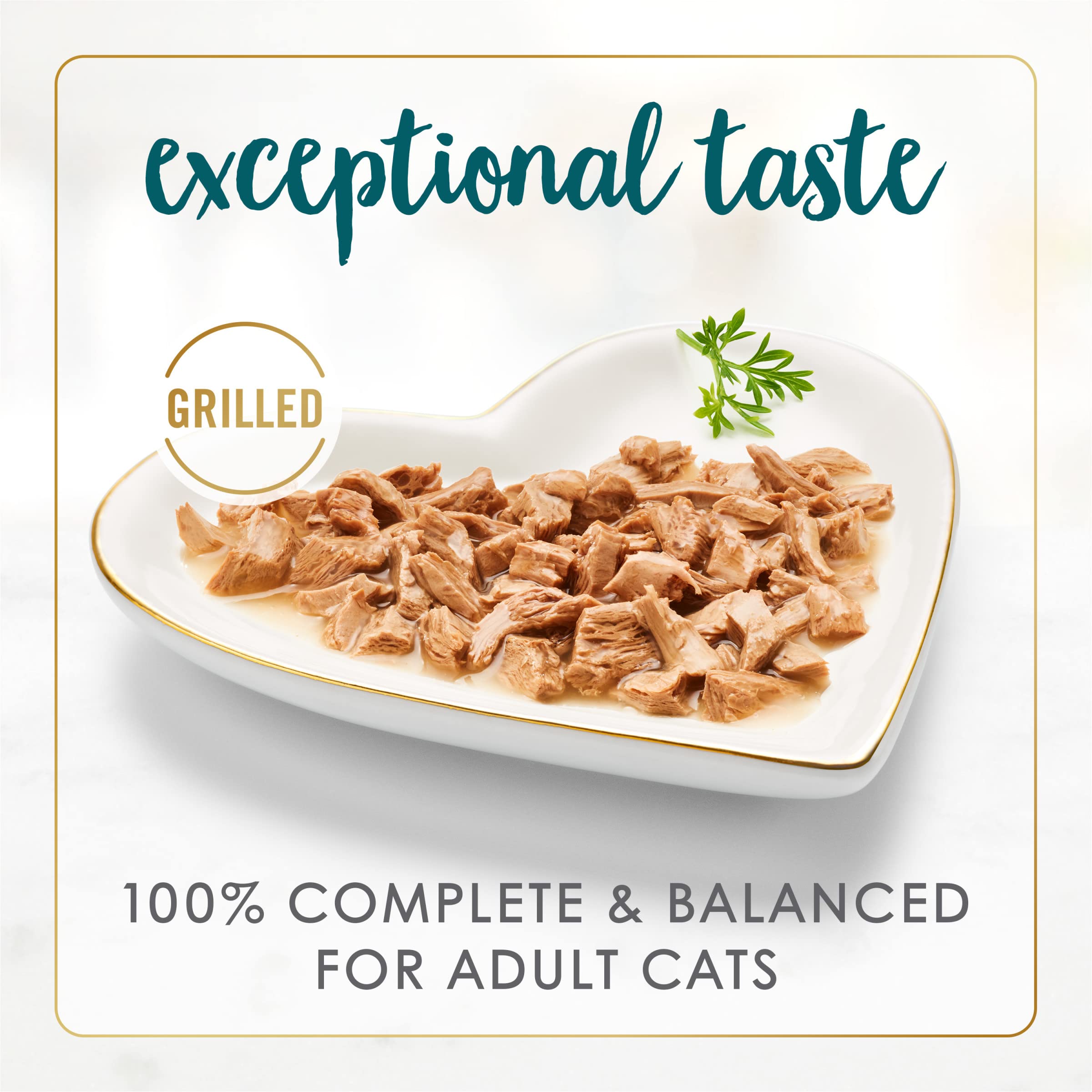 Fancy Feast chat approchant du repas: moment de plaisir lors du dîner.