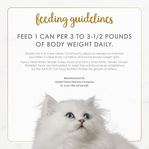 Nourriture humide Fancy Feast — repas principal pratique et appétant.