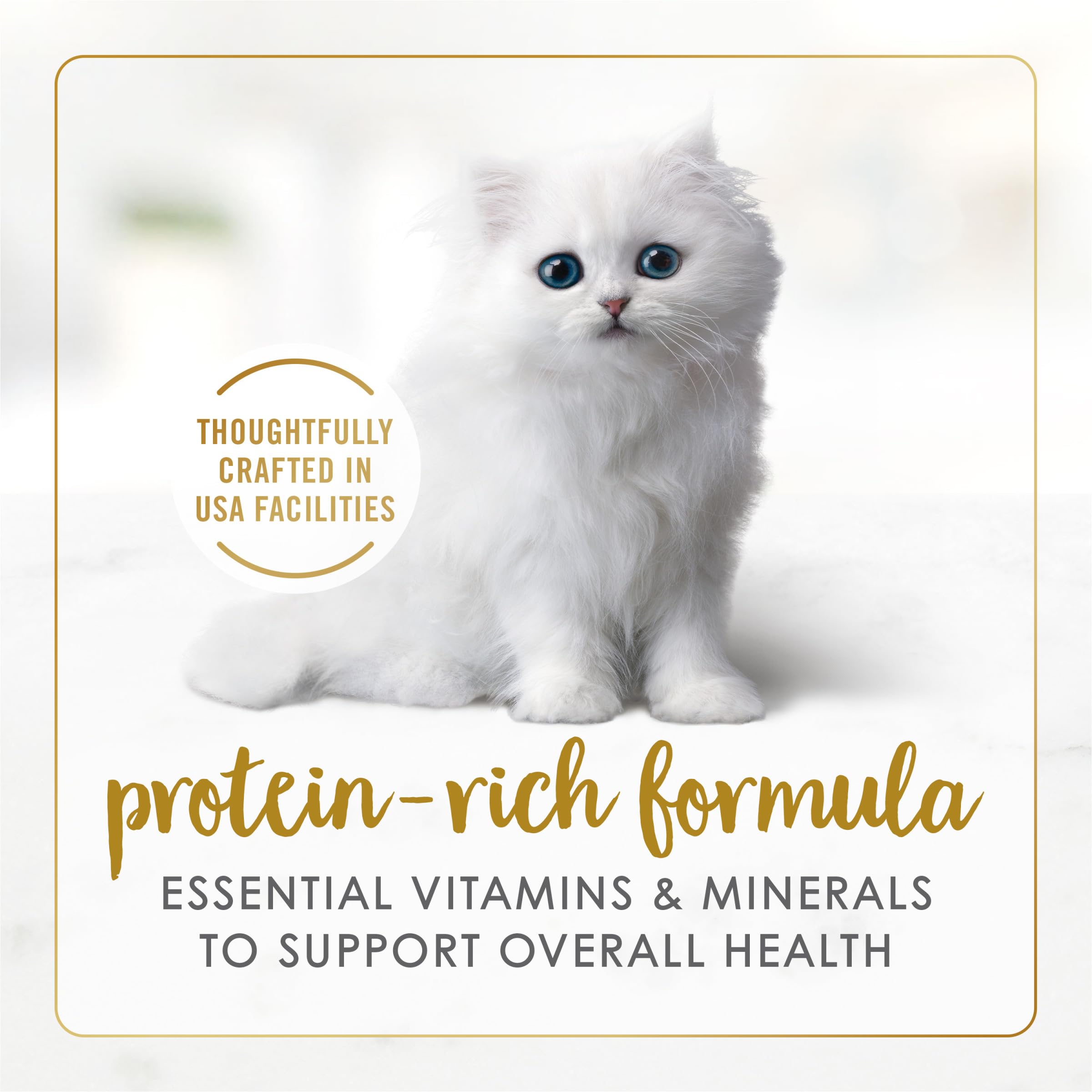 Pack Fancy Feast 2x12 boîtes — variété pratique pour repas variés.