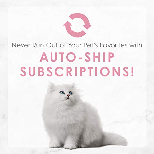 Routine de repas simplifiée avec Fancy Feast chaton : repas quotidien fiable.