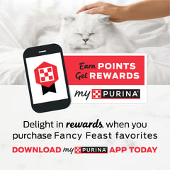 Fancy Feast Délices Crème Saumon Tendre, pâté onctueux qui attire l'appétit.
