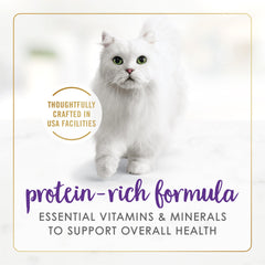 Chat adulte savourant le jus généreux, repas Fancy Feast Delights.