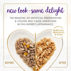 Morceaux de dinde et cheddar dans gravy, texture humide attrayante.