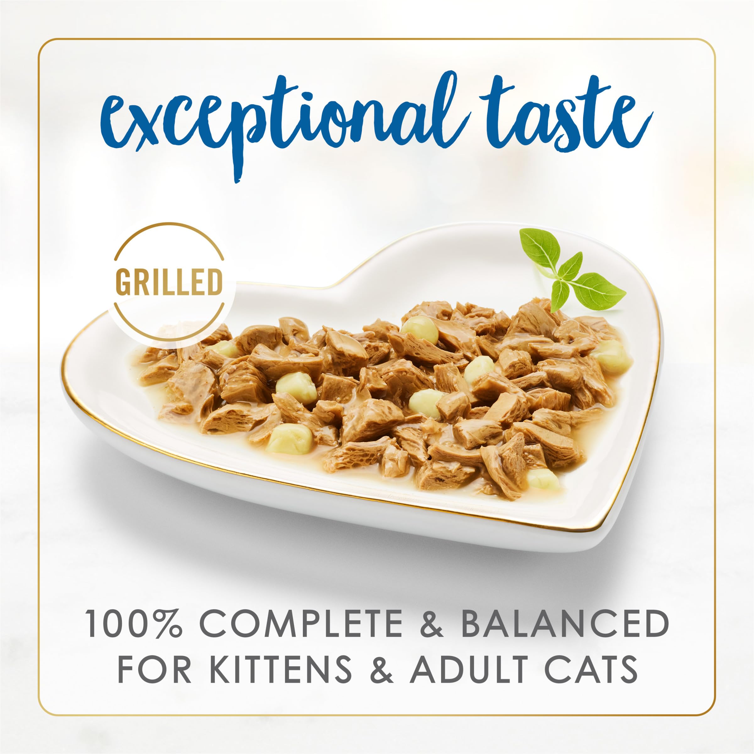 Sauce nappante au cheddar sur des morceaux, arôme séduisant pour chats gourmands.
