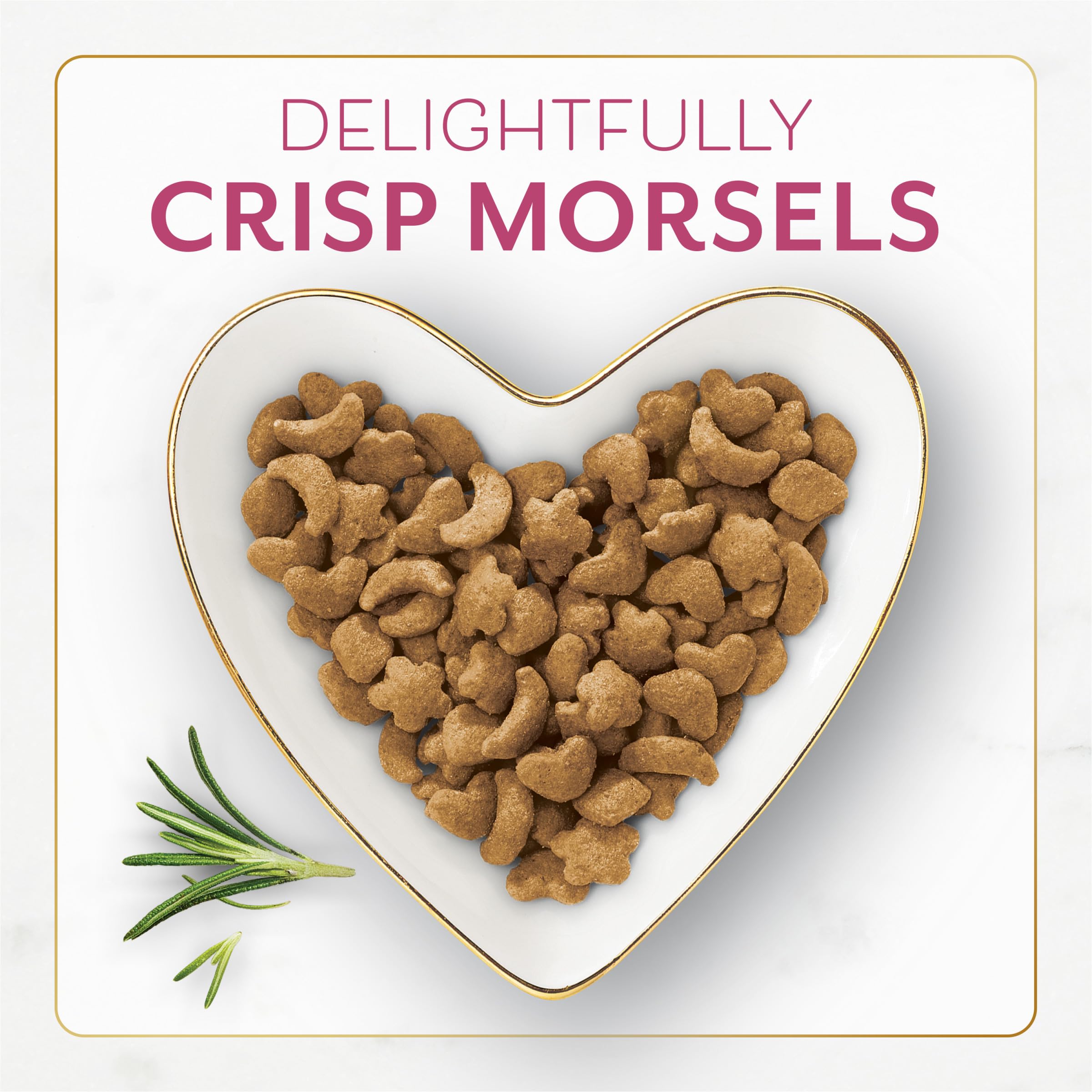 Morceaux croustillants Fancy Feast Filet Mignon Seche pour chats