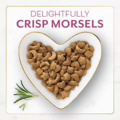 Morceaux croustillants Fancy Feast Filet Mignon Seche pour chats