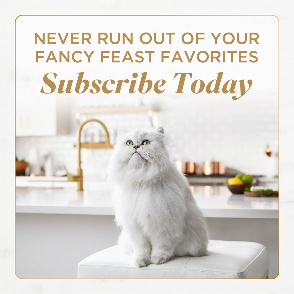 Présentation soignée dans l’assiette, expérience gourmande Fancy Feast Gems.