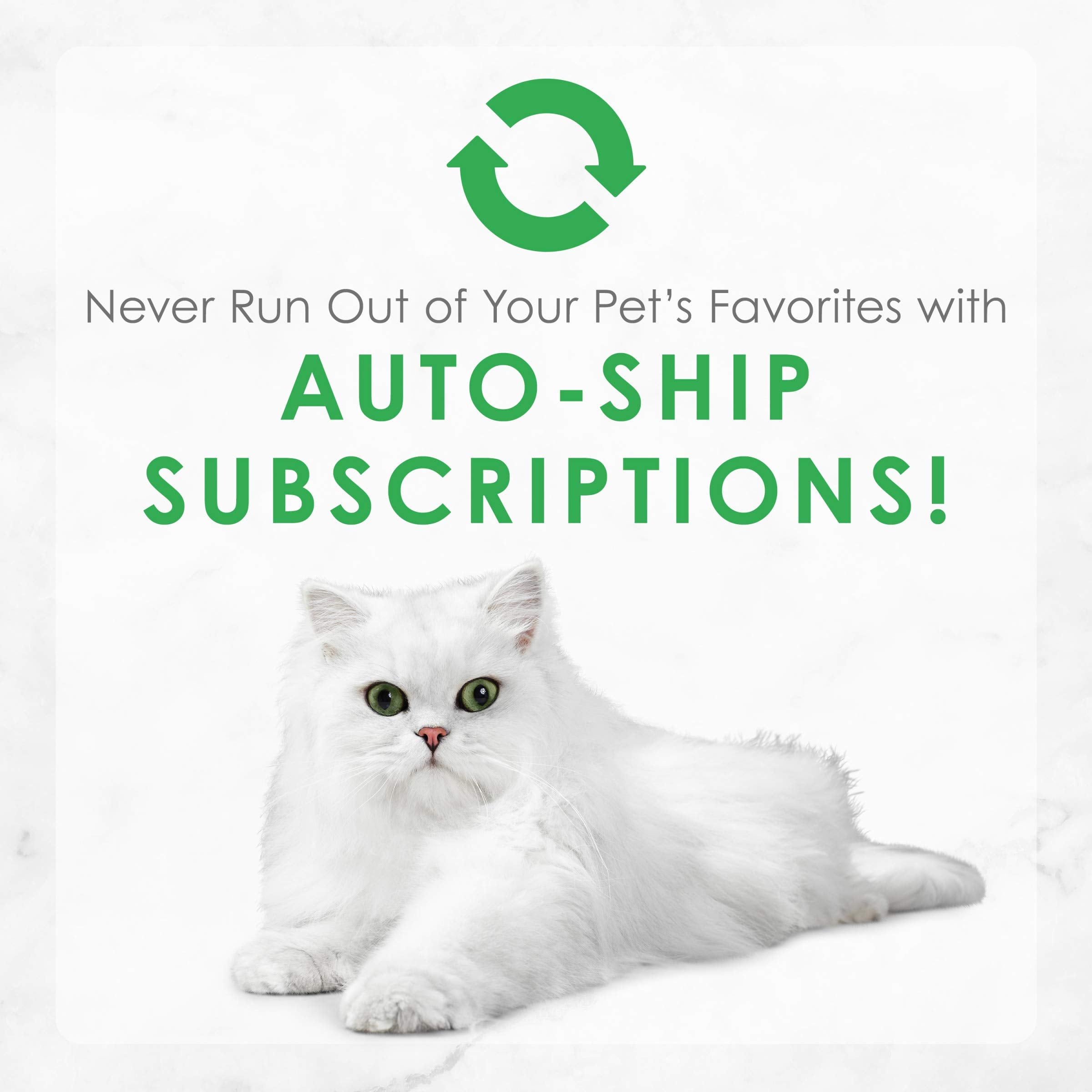 Fancy Feast gourmet-chat-plaisir : repas gourmet qui attire l'attention du chat.