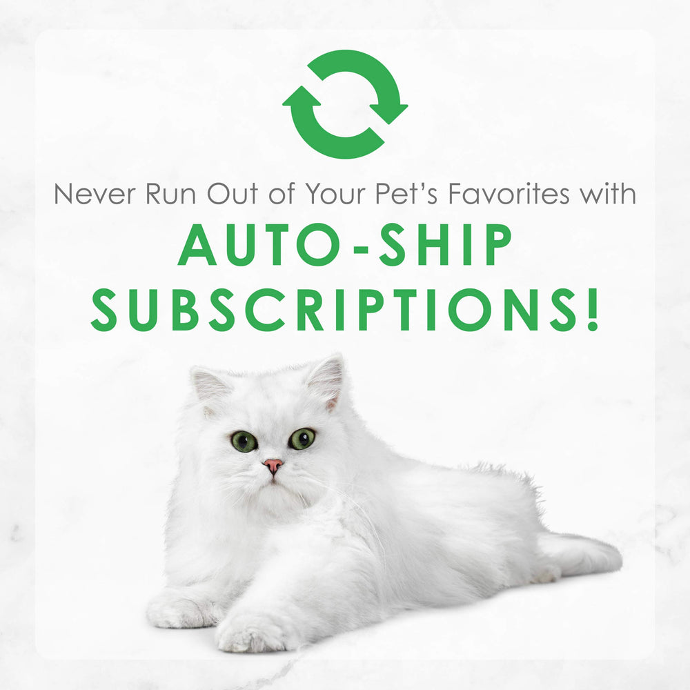Fancy Feast gourmet-chat-plaisir : repas gourmet qui attire l'attention du chat.