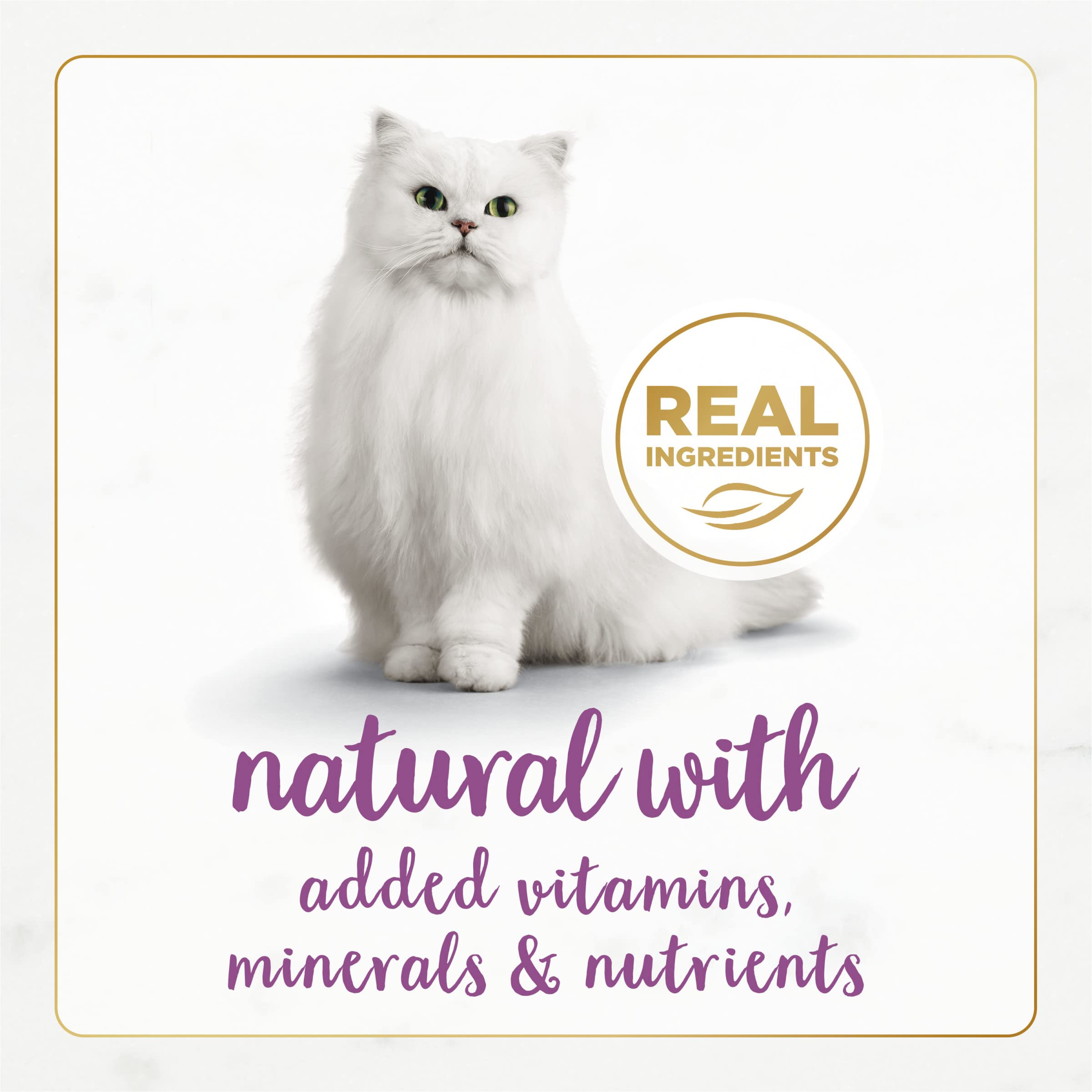 Fancy Feast Gourmet Naturals texture pâte crèmeuse facilitant l'alimentation quotidienne du chat
