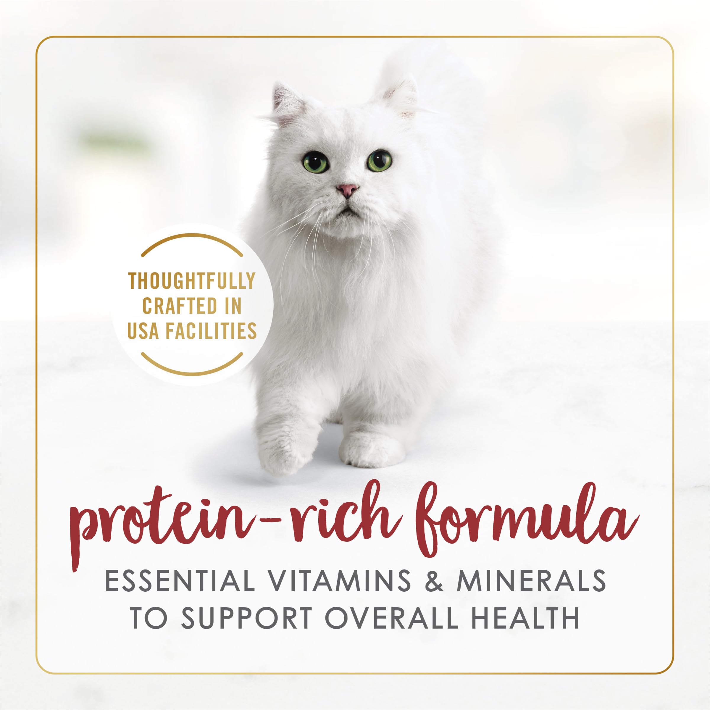 Purina Fancy Feast Gravy Lovers – texture moelleuse et sauce généreuse pour chats exigeants