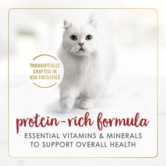 Purina Fancy Feast Gravy Lovers – texture moelleuse et sauce généreuse pour chats exigeants