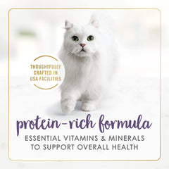 Fancy Feast Grillé au bœuf - Emballage de 24 boîtes, pratique pour les repas quotidiens.