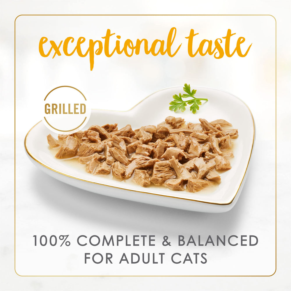 Fancy Feast gros plan : chat dégustant poulet et boeuf en sauce savoureuse.