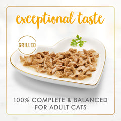 Fancy Feast gros plan : chat dégustant poulet et boeuf en sauce savoureuse.