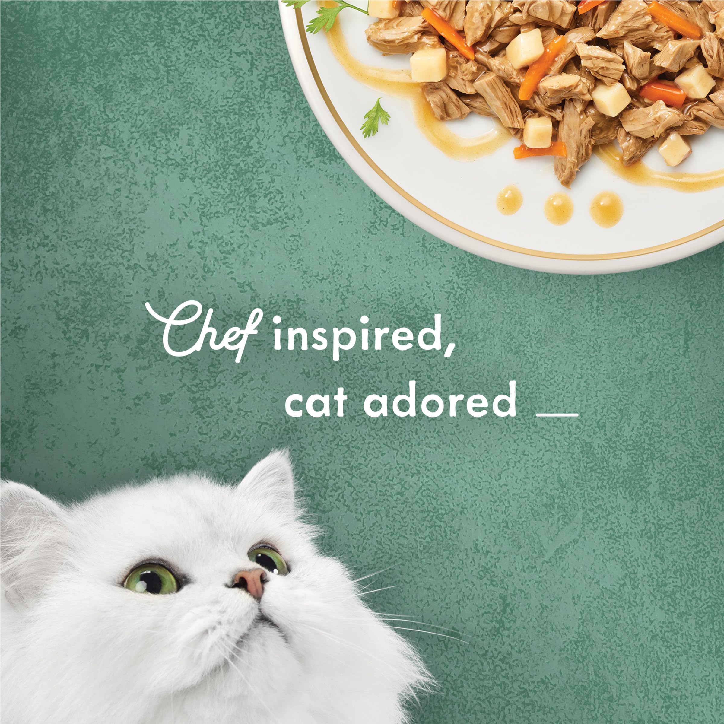 Arôme latino-américain dans Fancy Feast Medleys Boeuf Carne Asada pour chat curieux.