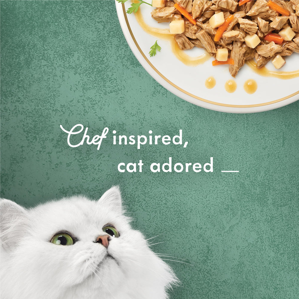 Arôme latino-américain dans Fancy Feast Medleys Boeuf Carne Asada pour chat curieux.