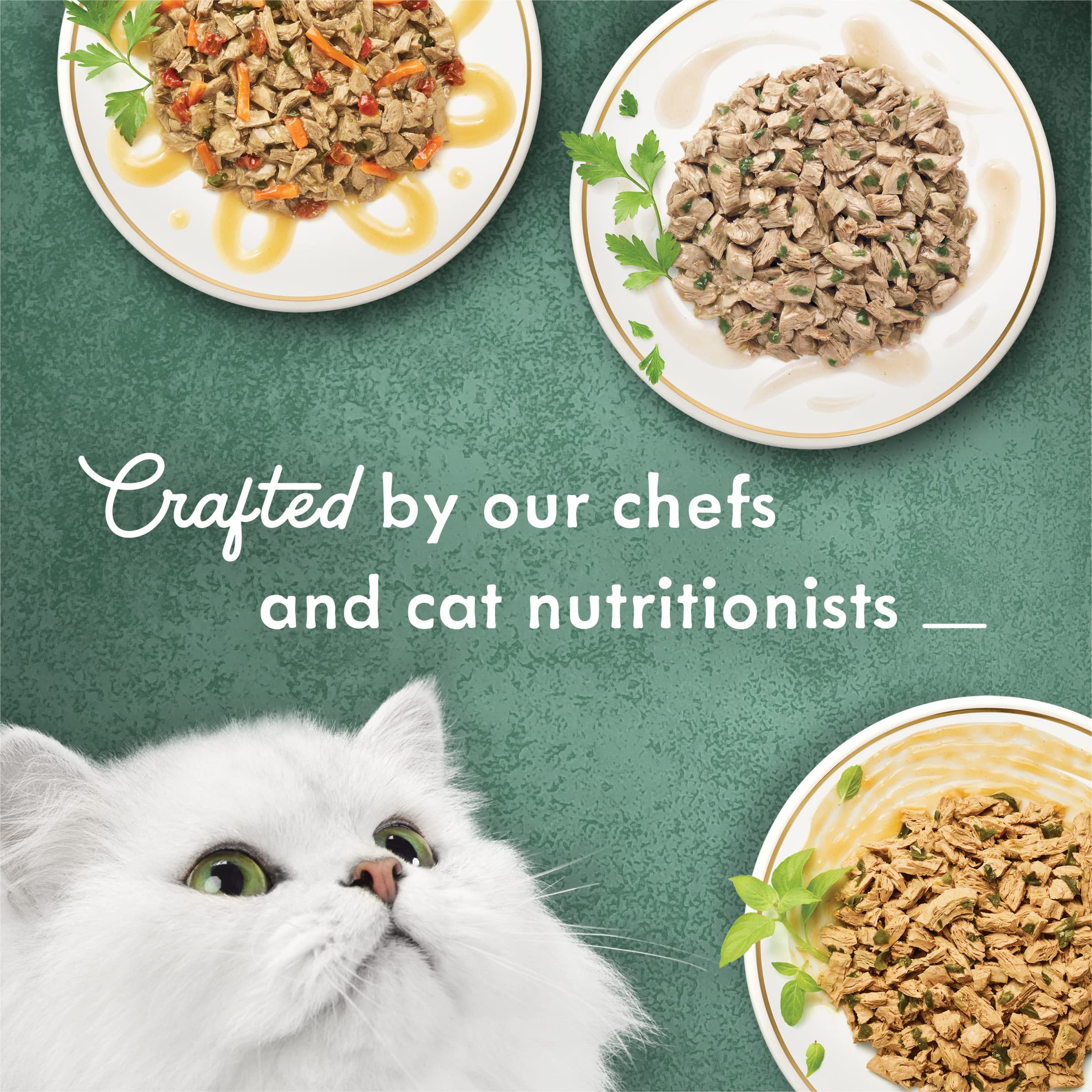 Purina Fancy Feast Medleys boîtes 3 oz, dinde et sauce pour variété.