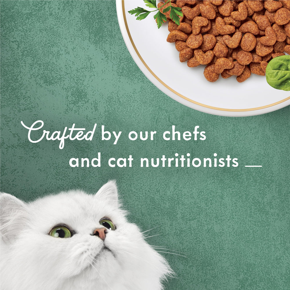 Fancy Feast Medleys Primavera carotte et légumes : équilibre délicieux pour repas quotidiens.