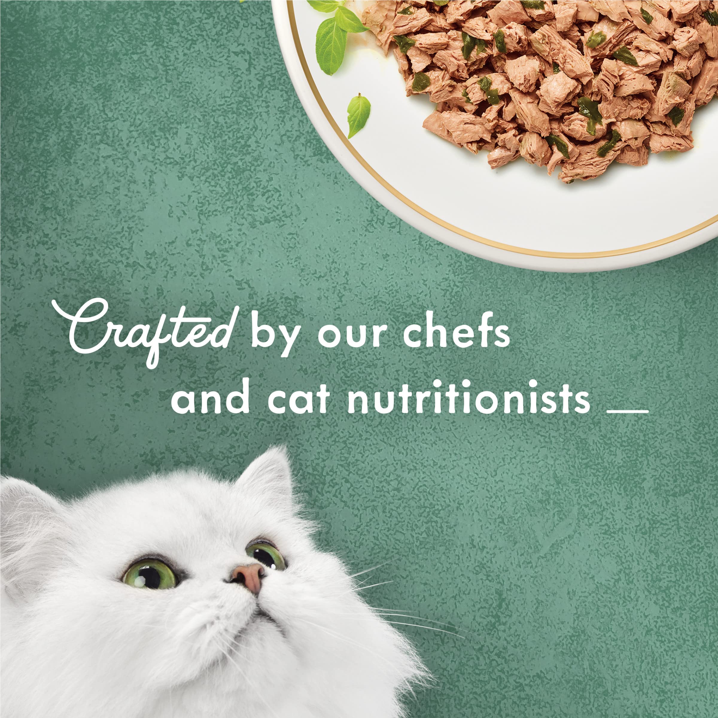 Fancy Feast Medleys saumon sauvage émincé et épinards dans bouillon pratique et appétissant.
